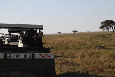 DSC_3818 (Large).JPG